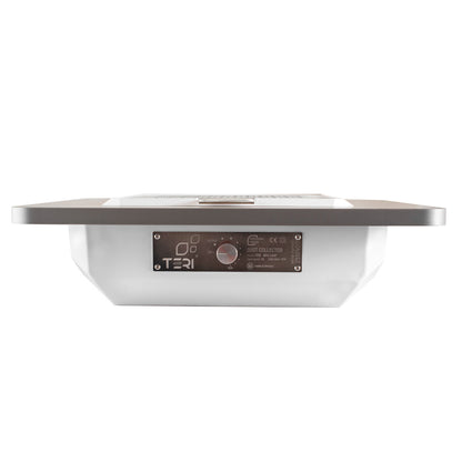 Teri Brilliant aspiradores blanco (rejilla  plata )