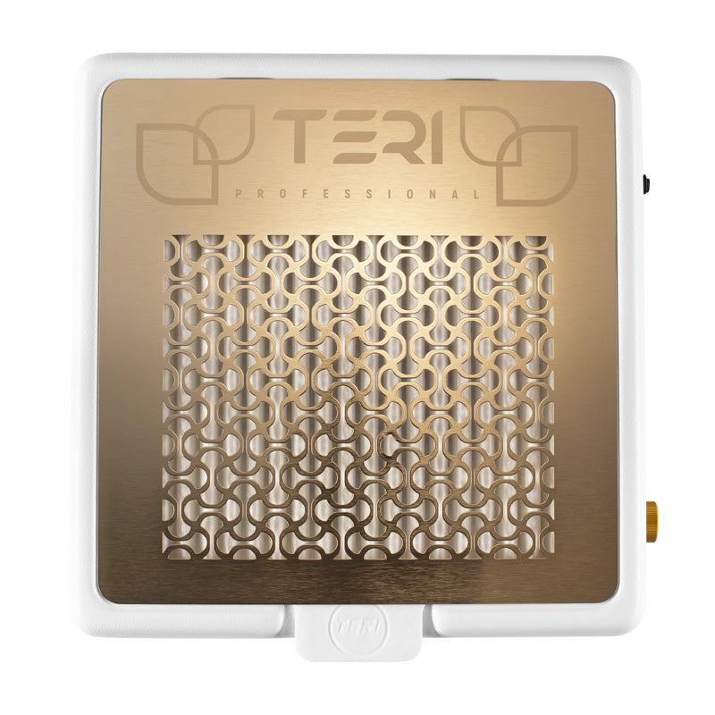 Teri Turbo M  aspiradora de mesa blanco (rejilla dorada)