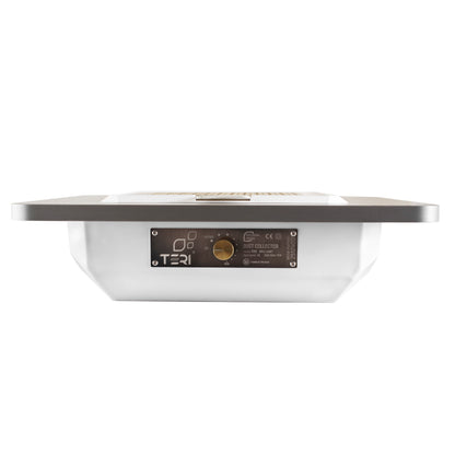 Teri Brilliant aspiradores blanco (rejilla oro)