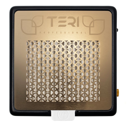 Teri 800 M 2021 aspiradora de mesa negro (rejilla dorada)