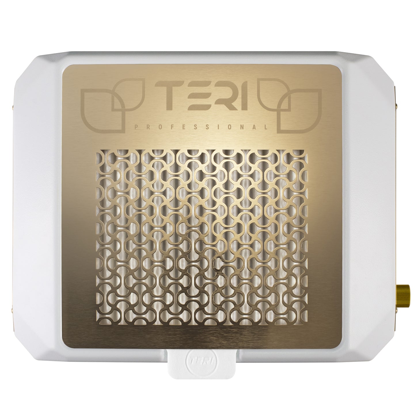 Teri Diamond aspiradora de mesa blanco (rejilla dorada)